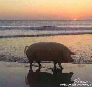 等下一个天亮什么梗 哆啦a梦 等下一个天亮下一句是什么梗