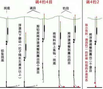 钓鲤鱼调漂的正确方法 鲤鱼调漂法