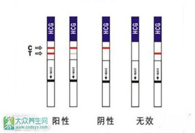 怎样看早早孕试纸 早孕试纸要怎样看
