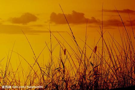 我爱你 与你无关 秋天与情感无关