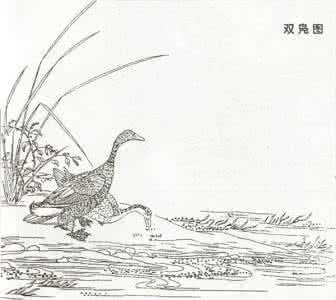 宋代小品花鸟白描 宋代花鸟白描 宋画经典花鸟小品,白描图稿,为古人店赞!