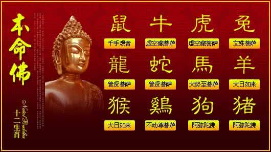 2013年12生肖运势排名 2013蛇年12生肖运势(转)