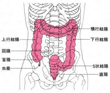 爱惜大肠 空腹吃水果 医生告诉我们：“爱惜大肠”