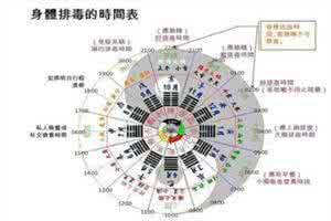 五脏六腑排毒时间 五脏六腑排毒时间 “五脏六腑”的最佳排毒时间表