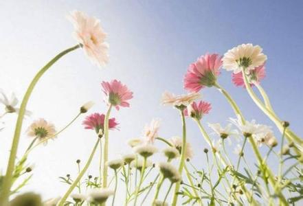 凡事不要太较真 活着没必要太较真 人活着，没必要凡事都争个明白