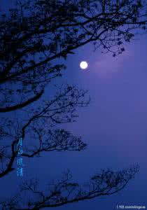 美景之车之甜蜜情事3 拥一份甜蜜,镶嵌在梦景中(美文欣赏)