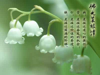 花开花落的人生感慨 嬉笑怒骂即生活，花开花落是人生