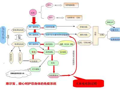 人体免疫系统的组成 最好的医生—自己体内的免疫系统