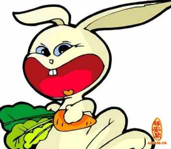 血型和十二生肖的性格 不同血型的生肖兔