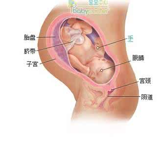 怎样辨别胎儿胎动异常 怎样辨别胎儿胎动异常 准妈妈们如何辨别异常胎动？【一日一答】