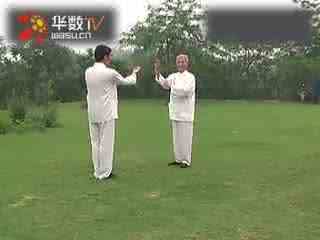 太极五行通臂拳 太极五行通臂拳 【太极五行通臂拳  北派内家 】