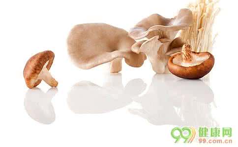 骨折可以吃菌类食物 孕妇能吃菌类食物吗 准妈妈吃菌类食物有什么好处
