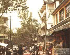 一招制敌徒手格斗大全 街斗制敌