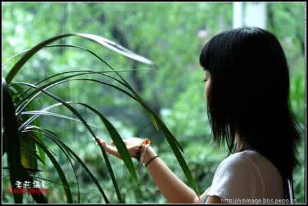 忧伤的情感美文 忧伤也是一种美!【情感图文】