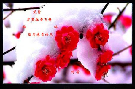 我的心也飘着雪 飘 在 心 上 的 雪