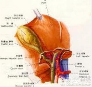 胆囊癌出现黄疸生存期 胆囊癌 黄疸 胆囊癌黄疸问题