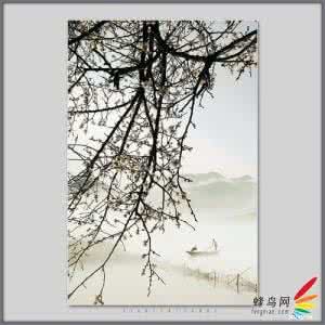 梅花大鼓表演艺术家 艺术化梅花摄影创作的要素