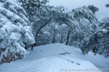 一碗水阅读答案贾赛赛 雪后一碗“赛秋裤”