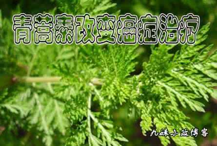 青蒿素 yk青蒿素在美试验有重大发现 或改变癌症治疗南方都市报 于 2015