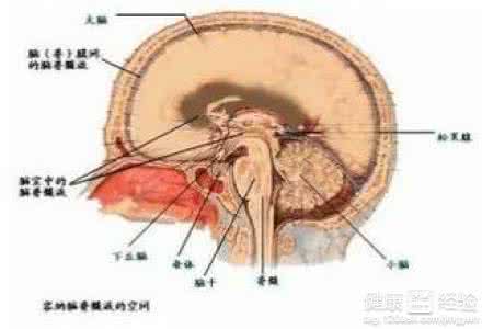 脑垂体瘤的治疗方法 脑垂体瘤的治疗 得了脑垂体瘤该怎么办