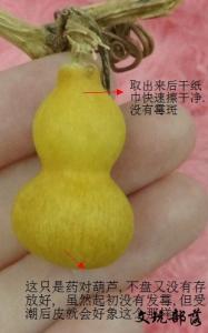 文玩手捻葫芦 文玩葫芦小手捻葫芦的存放 入门知识贴