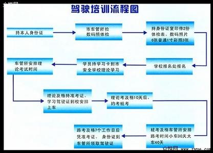 驾驶员驾照查询 学驾驶员 学驾照流程__各科讲解