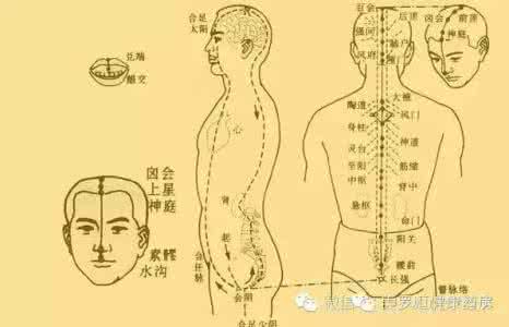 18个穴位等同18种中药