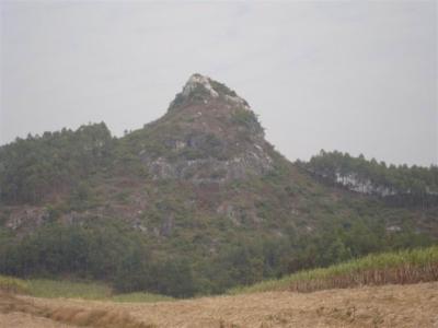 阴阳五行八卦风水 感应功能不能替代五行层面的风水【转】