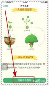 支付宝蚂蚁森林种树 森林蚂蚁 支付宝蚂蚁森林怎么种树?