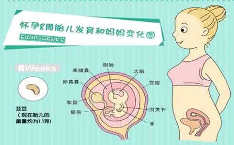 做完烤瓷牙的注意事项 怀孕了注意你的牙，做好8事项保护胎儿