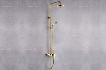 淋浴花洒十大知名品牌 中国十大花洒排名 2014花洒十大品牌排名 花洒什么牌子好