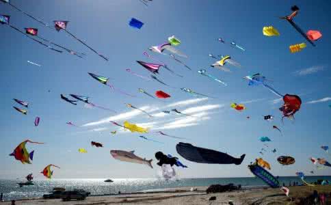 潍坊国际风筝节 国际风筝简介