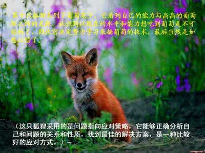 狐狸和葡萄的故事 狐狸吃葡萄的故事（图文欣赏）