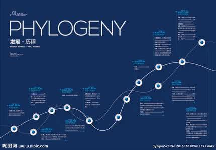 货币的发展历程 货币的产生及发展历程 水彩画的产生与发展历程