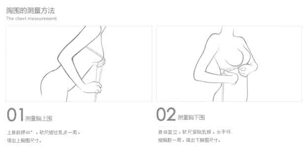 胸围的测量方法 测量胸围的方法是什么