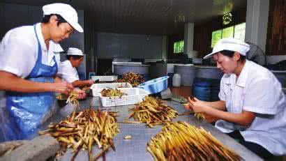 健康食品代加工厂家 加工食品，我们应该怎么健康吃？