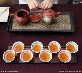 动画基础知识大百科 【78个美食视频】中国茶道百科专业基础知识教学视频