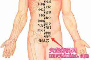 曲骨的准确位置图 曲骨穴位图 治疗前列腺、月经不调、美容袪斑等