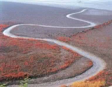 张爱玲非走不可的弯路 张爱玲：年轻时候的你，有些弯路非走不可