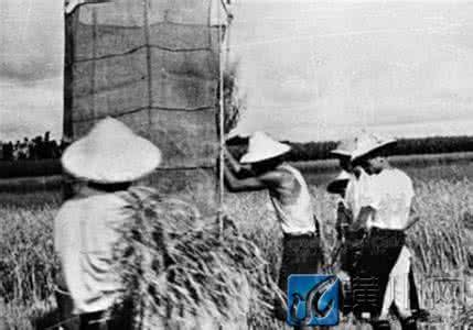 台湾耕者有其田 53年台湾怎样实现“耕者有其田”|台湾|土改