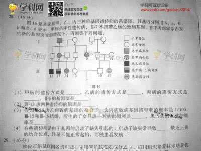 高考作文试题 高考作文专项试题设计与详解