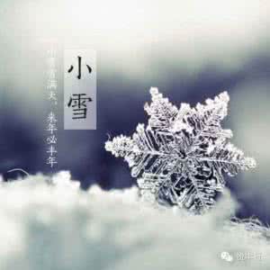 小雪节气吃什么 小雪节气吃什么 今日小雪,这个节气咱们应该了解这些知识哟!