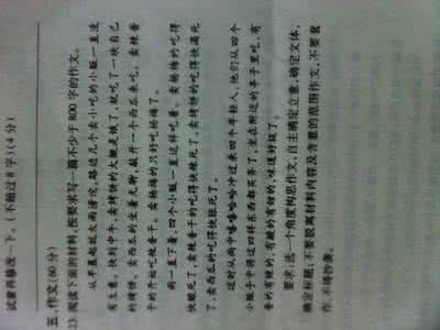 锁不住的心作文 锁不住的心作文100字