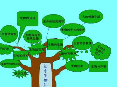 初中生物知识树图片 初中生物知识树