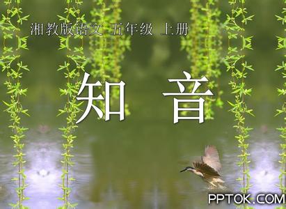听说每颗星都会寂寞 每本书里,都会有一些让人听了暗暗点头的句子:读《如果世上不再有猫》