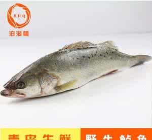 鲈鱼的养殖方法 鲈鱼的养殖方法 鲈鱼的选购方法