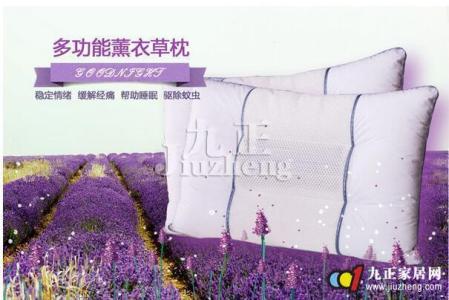 薰衣草枕头功效 薰衣草枕头功效 薰衣草枕头好吗 薰衣草枕头有什么功效