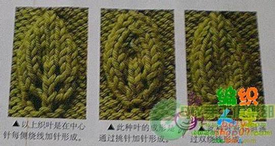 各 种 叶 子 的 织 法