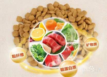 通过泡水发现狗粮好坏 怎么辨别狗粮的好坏