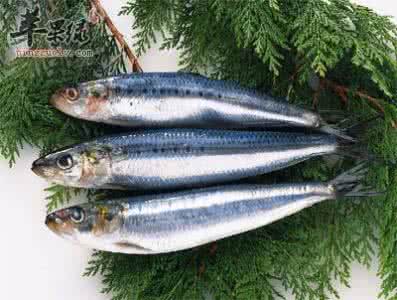 网贷行业安全专家 连线安全专家—青鱼